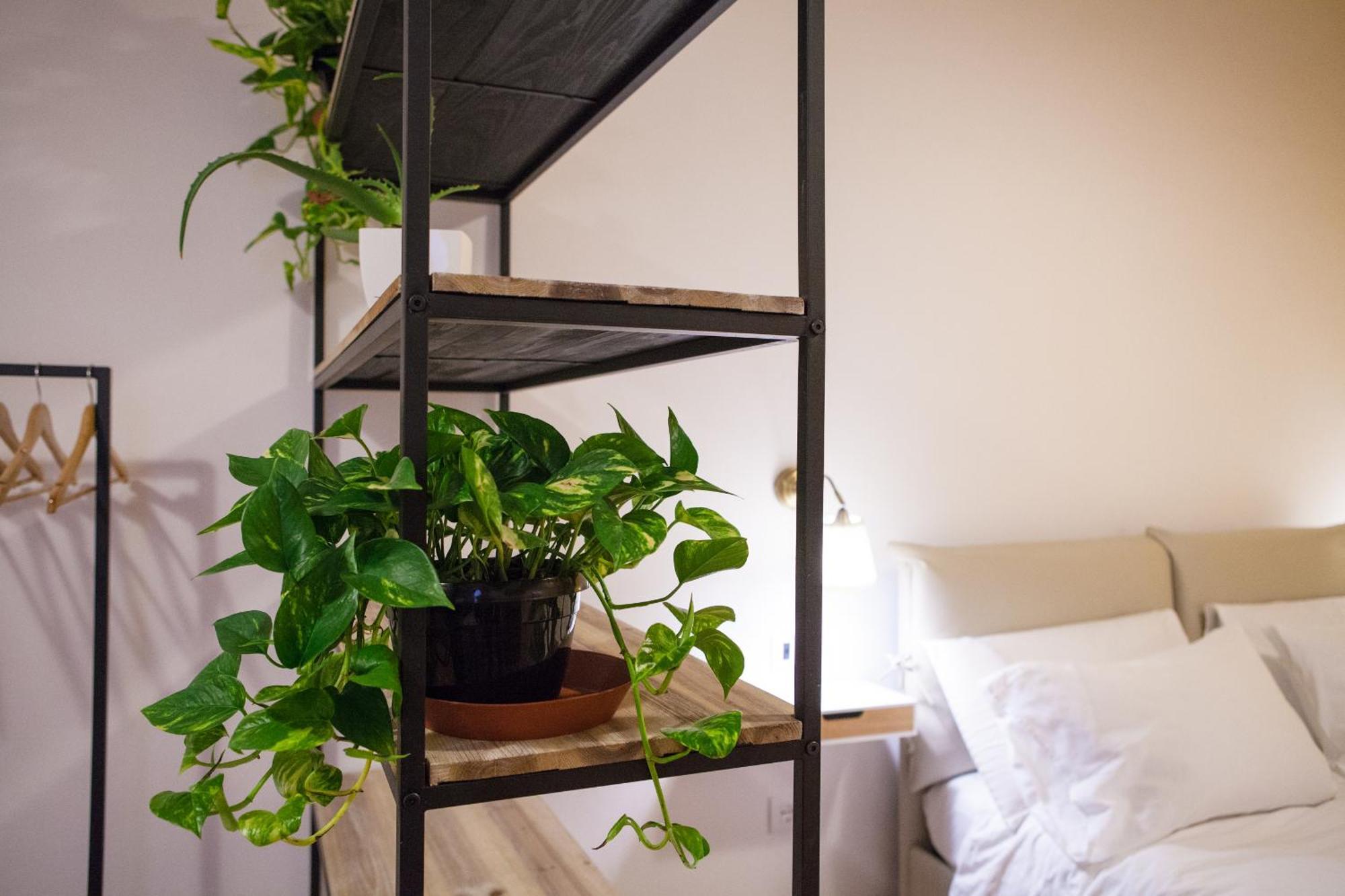 Palazzo Marigliano - Serviced Apartments Napoli Værelse billede